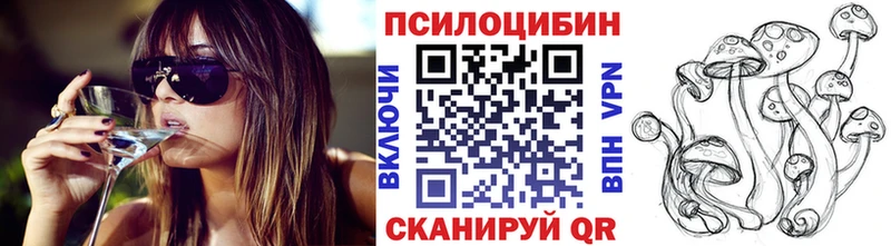 гидра как войти  Цивильск  Псилоцибиновые грибы мицелий 
